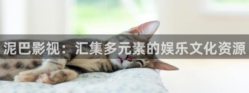 护心策驰影院免费观看