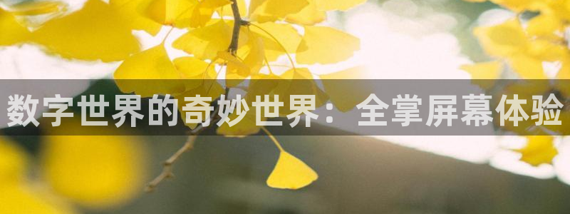 不说谎恋人电视剧免费观看策驰影院